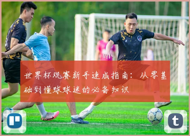 世界杯观赛新手速成指南:从零基础到懂球球迷的必备知识