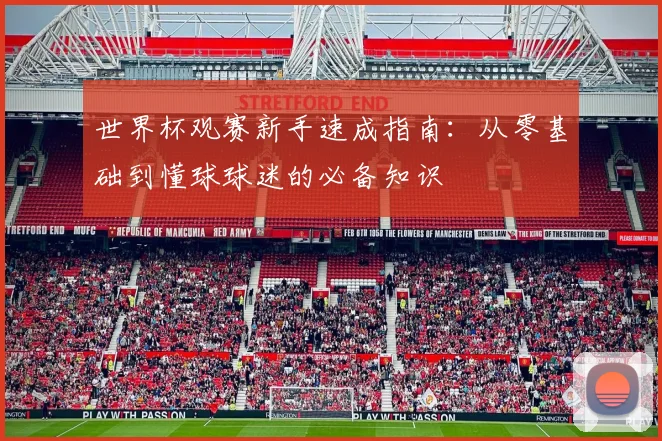 世界杯观赛新手速成指南：从零基础到懂球球迷的必备知识