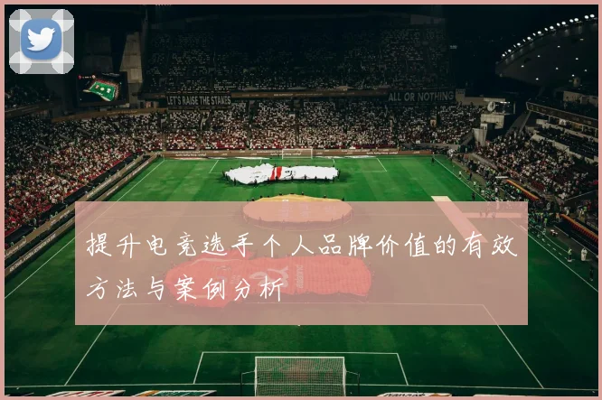 提升电竞选手个人品牌价值的有效方法与案例分析
