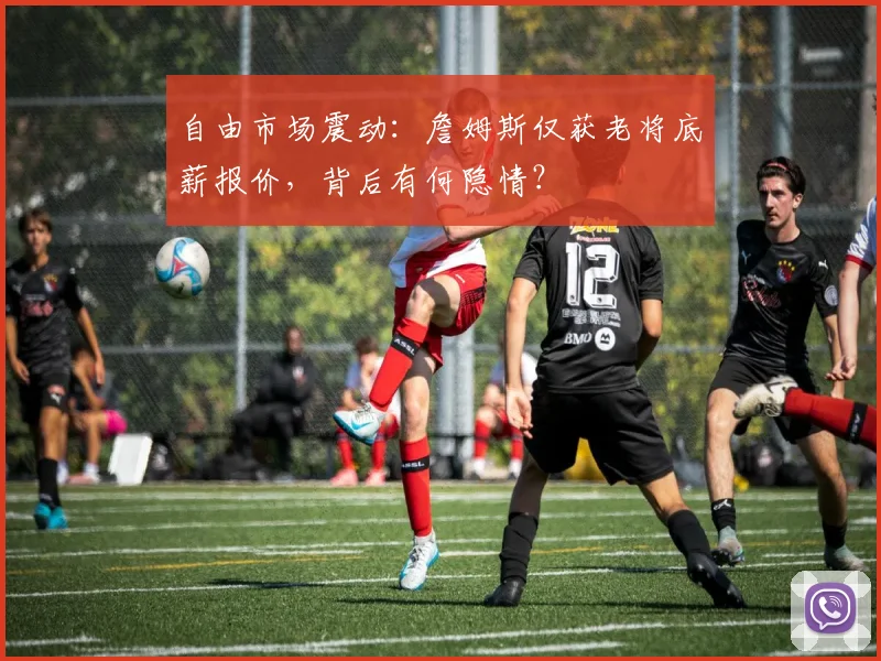 自由市场震动：詹姆斯仅获老将底薪报价，背后有何隐情？