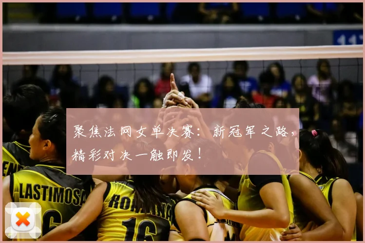 聚焦法网女单决赛：新冠军之路，精彩对决一触即发！
